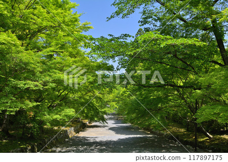 Nison-in Temple, Sagano, Kyoto 117897175