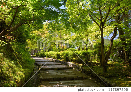 京都/嵯峨野 117897296