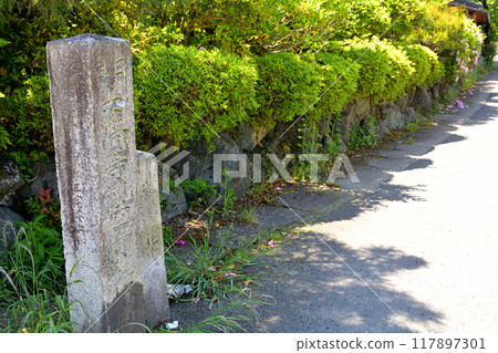 京都/嵯峨野 117897301