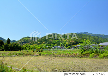 京都/嵯峨野 117897322