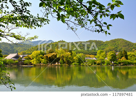 京都/嵯峨野 大覺寺 京都/嵯峨野 大覺寺 117897481