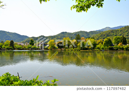 京都/嵯峨野 大覺寺 117897482