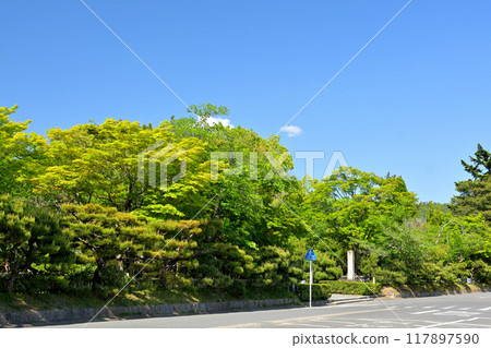 京都/嵯峨野 大覺寺 京都/嵯峨野 大覺寺 117897590