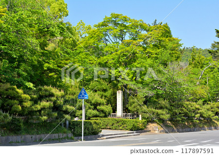 京都/嵯峨野 大覺寺 117897591