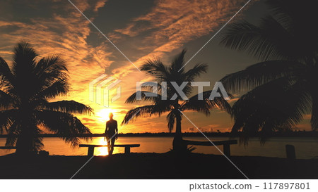 Silhouette of a young woman standing between palm trees, admiring a beautiful sunset over the lagoon of maupiti island in french polynesia Silhouette of a young woman standing between palm trees, admiring a beautiful sunset over the lagoon of maupiti island in french polynesia 117897801