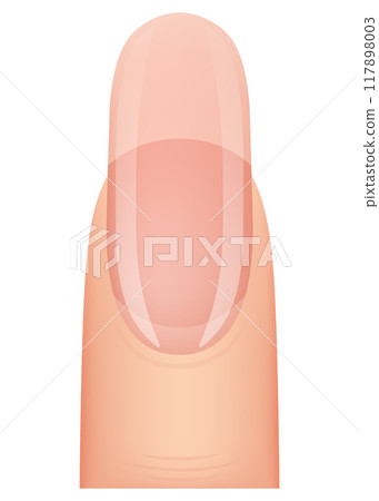 Nail shape manicure. Type of fingernail extension. Professional manicure template. Salon fashion type trend. Vector cartoon nail art on white background 117898003