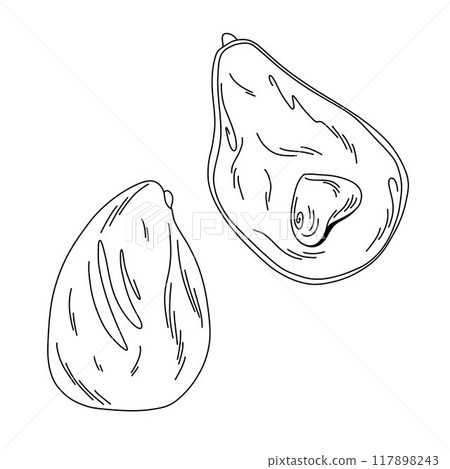 linear image of avocado and its halves in doodle style isolated on white background linear image of avocado and its halves in doodle style isolated on white background 117898243