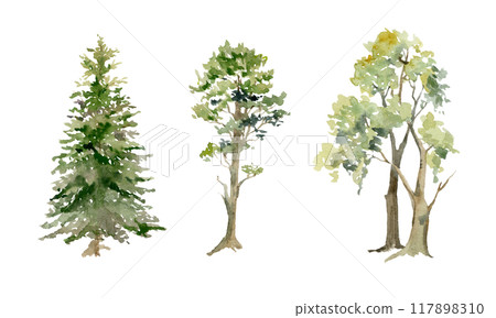 Scenery landscape coniferous deciduous forest fir spruce pine trees, oak cherry ash birch hand drawn in watercolor. Single isolated element for tourism, resort ads, hiking camping sites vacation. 117898310