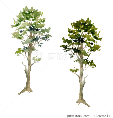 Scenery landscape coniferous forest fir pine spruce, Christmas green tree, watercolor hand drawn. Single isolated element, botanical illustration. Tourism, resort ads, hiking camping sites vacation. Scenery landscape coniferous forest fir pine spruce, Christmas green tree, watercolor hand drawn. Single isolated element, botanical illustration. Tourism, resort ads, hiking camping sites vacation. 117898317