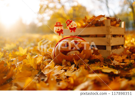 Halloween pumpkin on the autumn park. Holidays, decoration concept. Halloween pumpkin on the autumn park. Holidays, decoration concept. 117898351