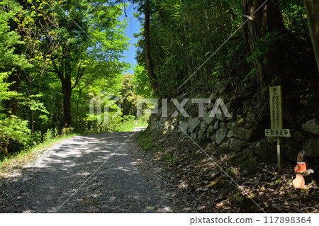 日本名城百選 - 觀音寺城 117898364