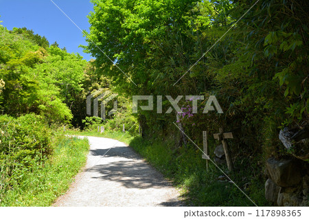 日本名城百選 - 觀音寺城 117898365