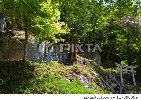 日本名城百選 - 觀音寺城 117898369