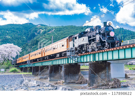 (Shizuoka Prefecture) A steam locomotive running over Ieyama Bridge in full bloom with cherry blossoms 117898622