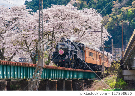 (Shizuoka Prefecture) A steam locomotive running over Ieyama Bridge in full bloom with cherry blossoms 117898630
