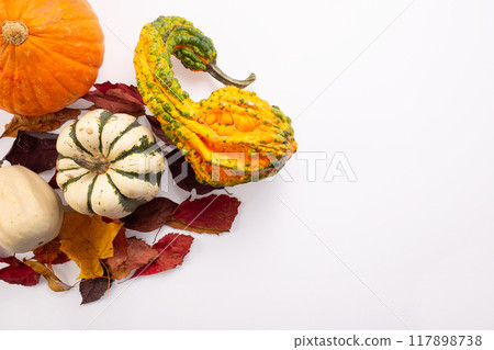 Autumn decoration from dry leaves and pumpkin on white background. Flat lay. Thanksgiving concept. Autumn decoration from dry leaves and pumpkin on white background. Flat lay. Thanksgiving concept. 117898738