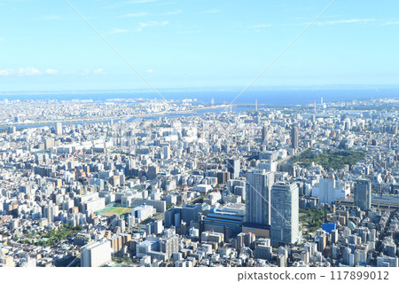 The city center seen from the sky tree 117899012