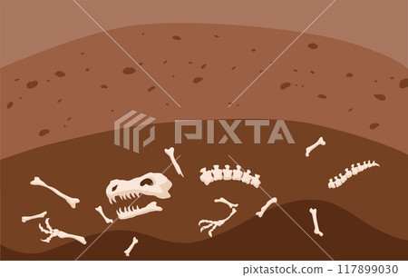 Carbon cycle, soil layer part of the biogeochemical cycle. Science education concept with fossil layer. Soil carbon sequestration illustration Carbon cycle, soil layer part of the biogeochemical cycle. Science education concept with fossil layer. Soil carbon sequestration illustration 117899030