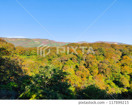 Autumn climbing of Mt. Yakeishi (Tsubunuma Course): View of Mt. Yokodake, Mt. Higashi-Yakeishi, and Mt. Rokuzawayama Autumn climbing of Mt. Yakeishi (Tsubunuma Course): View of Mt. Yokodake, Mt. Higashi-Yakeishi, and Mt. Rokuzawayama 117899215