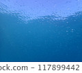 西表島潛水 117899442