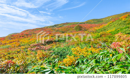 Autumn climbing of Mt. Yakeishi (Ginmeisui refuge hut to Ubaishi-daira) Autumn climbing of Mt. Yakeishi (Ginmeisui refuge hut to Ubaishi-daira) 117899805