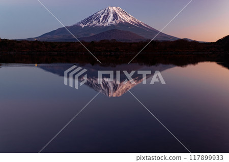 Mount Fuji in the afterglow as seen from the shores of Lake Shoji Mount Fuji in the afterglow as seen from the shores of Lake Shoji 117899933