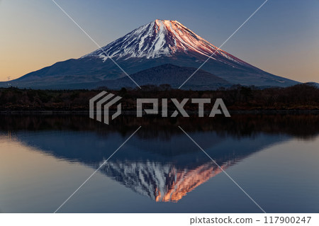 Mount Fuji in the evening light seen from the shores of Lake Shoji Mount Fuji in the evening light seen from the shores of Lake Shoji 117900247