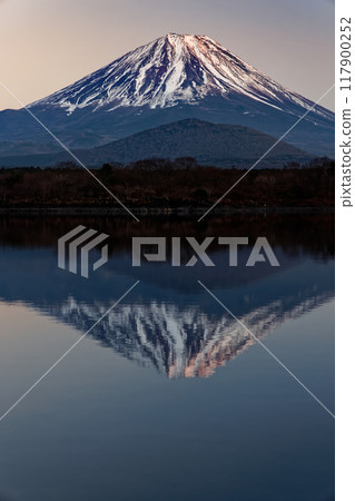 Mount Fuji in the evening light seen from the shores of Lake Shoji 117900252