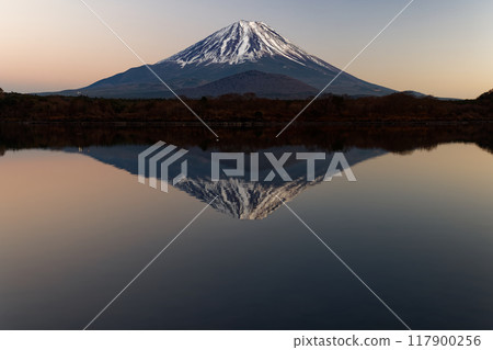Mount Fuji in the evening light seen from the shores of Lake Shoji Mount Fuji in the evening light seen from the shores of Lake Shoji 117900256