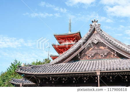 Shodoshima 88 Temples - Saikoji Temple (filming location for the TV drama) 117900818
