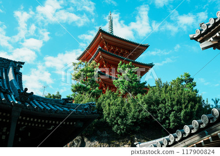 Shodoshima 88 Temples - Saikoji Temple (filming location for the TV drama) 117900824