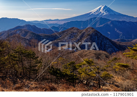 Mount Fuji in winter as seen from Minamidaibosatsu Hamaibamaru 117901901
