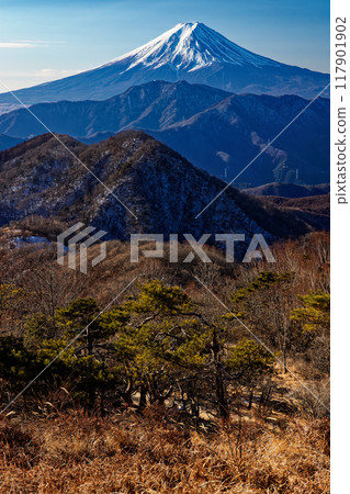 Mount Fuji in winter as seen from Minamidaibosatsu Hamaibamaru 117901902