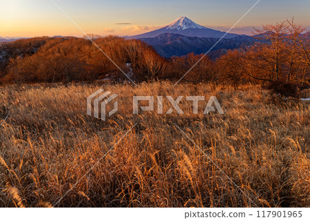 Mount Fuji seen from Minamidaibosatsu and Okura Takamaru at dawn Mount Fuji seen from Minamidaibosatsu and Okura Takamaru at dawn 117901965