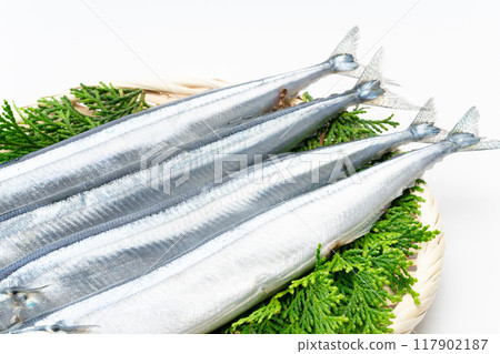Close-up of the tail side of raw pacific saury Close-up of the tail side of raw pacific saury 117902187
