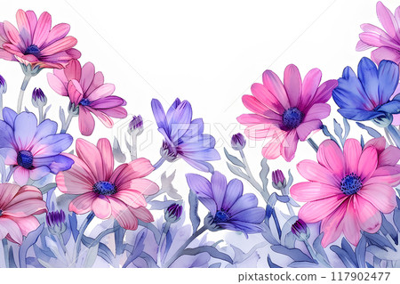 美麗的瓜葉菊花 117902477