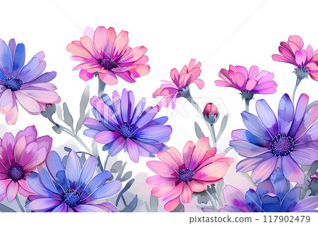 美麗的瓜葉菊花 117902479