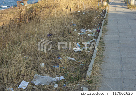 Garbage on the grass along the pedestrian sidewalk Garbage on the grass along the pedestrian sidewalk 117902629