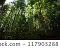 Sarushima 117903288