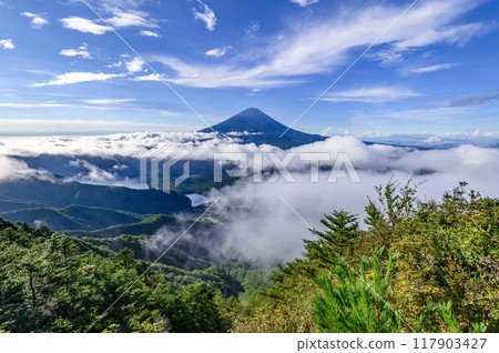 Mount Fuji and the sea of clouds as seen from the ridgeline near Odake, Yamanashi Prefecture 117903427