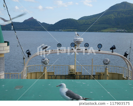 洞爺湖海鷗 洞爺湖海鷗 117903575