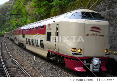 285 Series Sleeper Express "Sunrise Izumo" 117903667