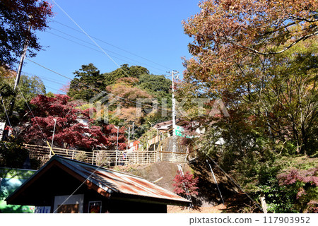 Oyama Cable Car Station Autumn leaves Oyama Cable Car Station Autumn leaves 117903952