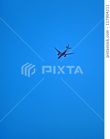 Airplane in the sky: Flying airplane Airplane in the sky: Flying airplane 117904211