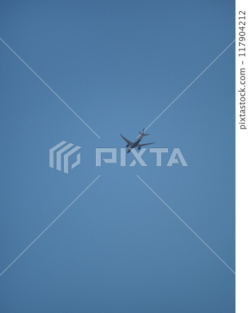 Airplane in the sky: Flying airplane 117904212