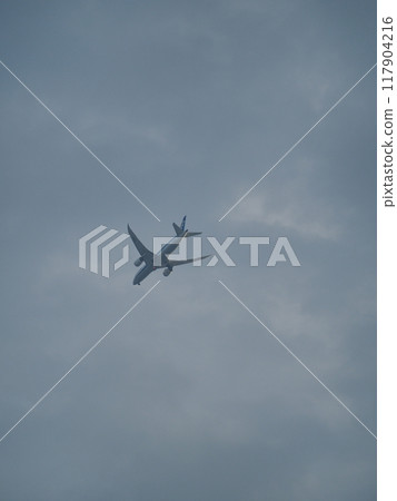 天空中的飛機：飛機飛行 117904216