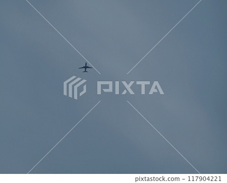 天空中的飛機：飛機飛行 117904221