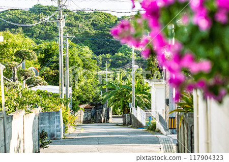 Back alley of Okinawa Back alley of Okinawa 117904323
