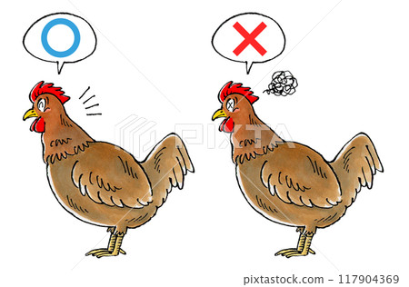 Verdict: Brown Chicken Set (Round or Round) 117904369