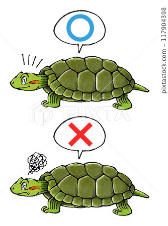 審判綠海龜套裝(Marubatsu) 審判綠海龜套裝(Marubatsu) 117904398